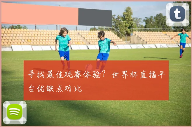 寻找最佳观赛体验?世界杯直播平台优缺点对比