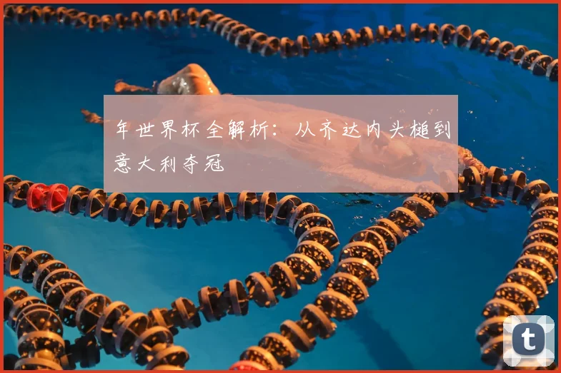 年世界杯全解析：从齐达内头槌到意大利夺冠