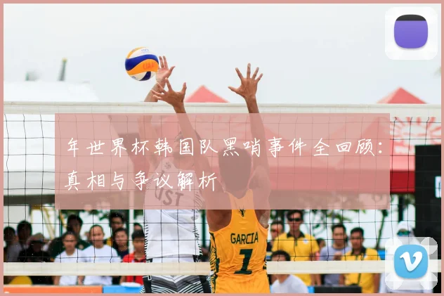 年世界杯韩国队黑哨事件全回顾：真相与争议解析