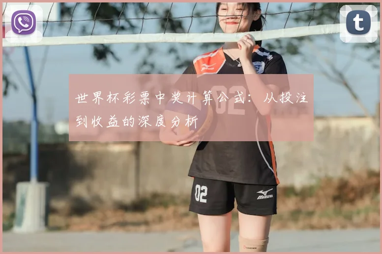 世界杯彩票中奖计算公式:从投注到收益的深度分析