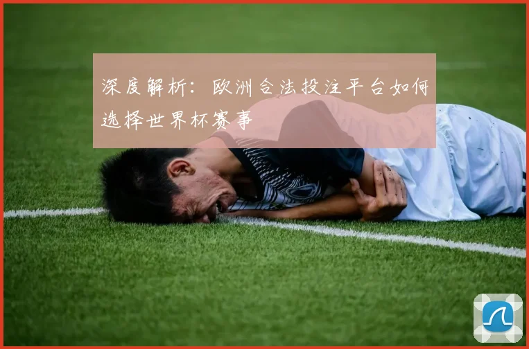 深度解析：欧洲合法投注平台如何选择世界杯赛事
